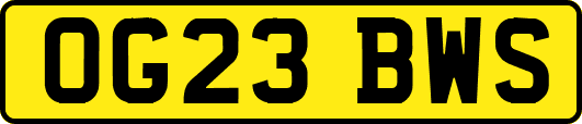 OG23BWS