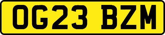 OG23BZM