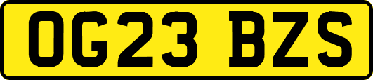OG23BZS