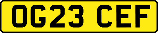OG23CEF