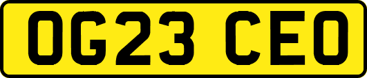 OG23CEO
