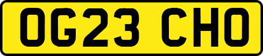 OG23CHO