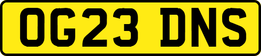 OG23DNS