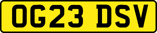 OG23DSV