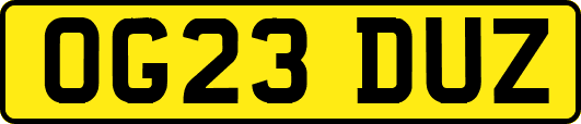 OG23DUZ