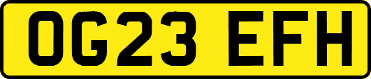 OG23EFH