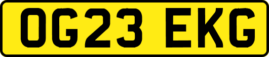 OG23EKG