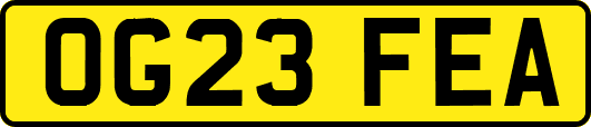 OG23FEA