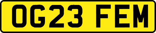 OG23FEM