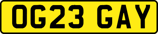 OG23GAY