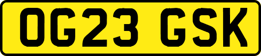 OG23GSK
