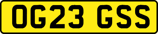 OG23GSS