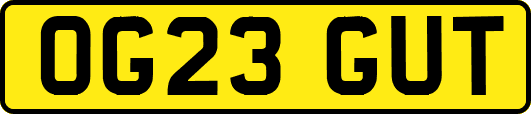 OG23GUT
