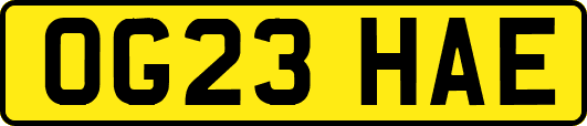 OG23HAE