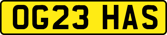 OG23HAS