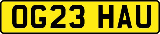 OG23HAU