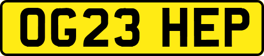 OG23HEP