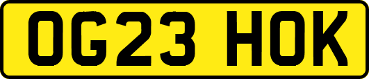 OG23HOK