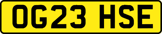 OG23HSE
