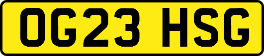 OG23HSG