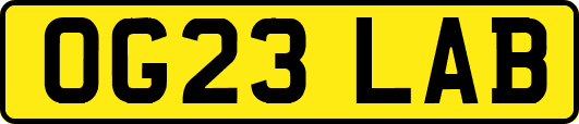 OG23LAB