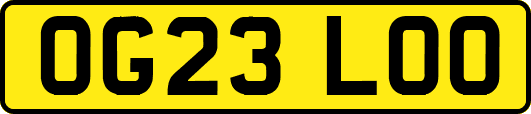 OG23LOO