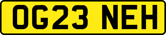 OG23NEH