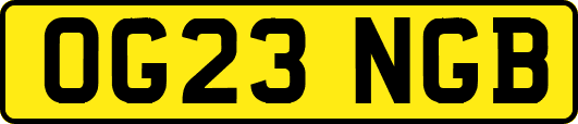 OG23NGB