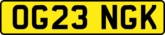OG23NGK