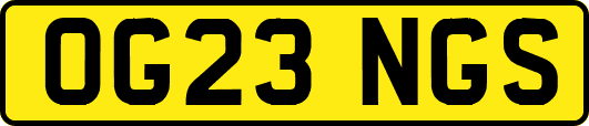 OG23NGS