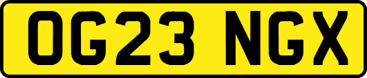 OG23NGX