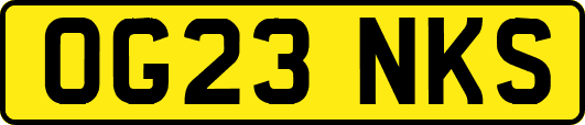 OG23NKS