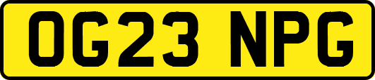 OG23NPG
