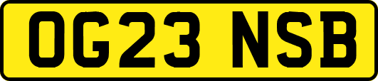OG23NSB