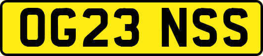 OG23NSS