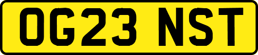 OG23NST
