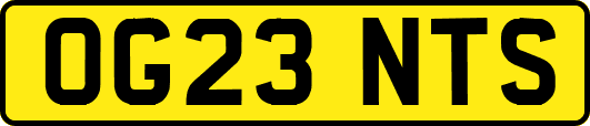 OG23NTS