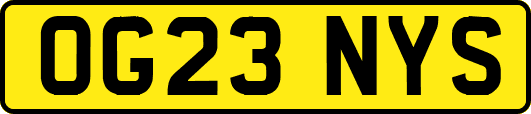 OG23NYS