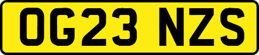 OG23NZS
