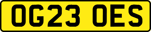 OG23OES
