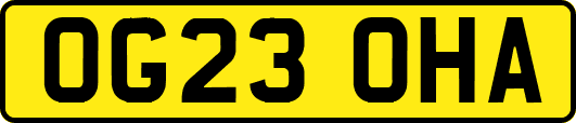 OG23OHA