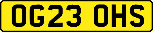 OG23OHS
