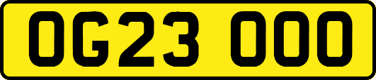 OG23OOO