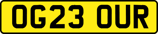 OG23OUR