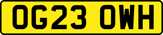 OG23OWH