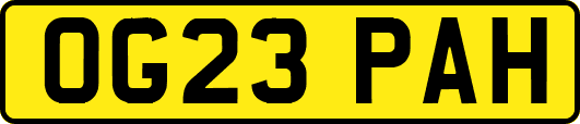 OG23PAH