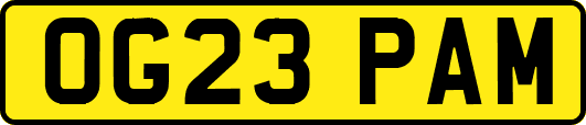 OG23PAM