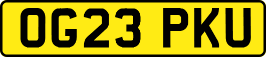 OG23PKU