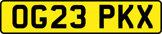 OG23PKX