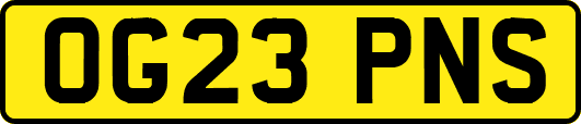 OG23PNS